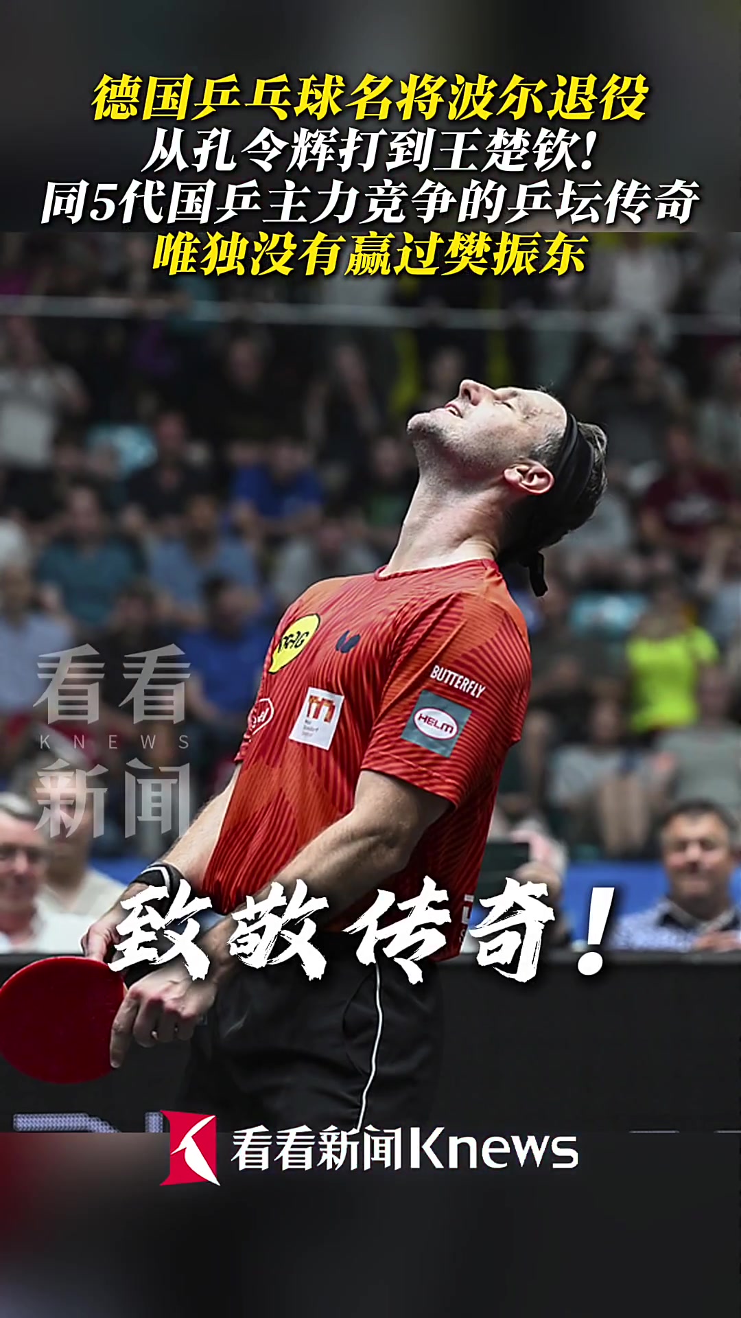 日本乒乓球队逆转瑞典乒乓球队,波尔制霸全场 日本乒乓球队逆转瑞典乒乓球队,波尔制霸全场