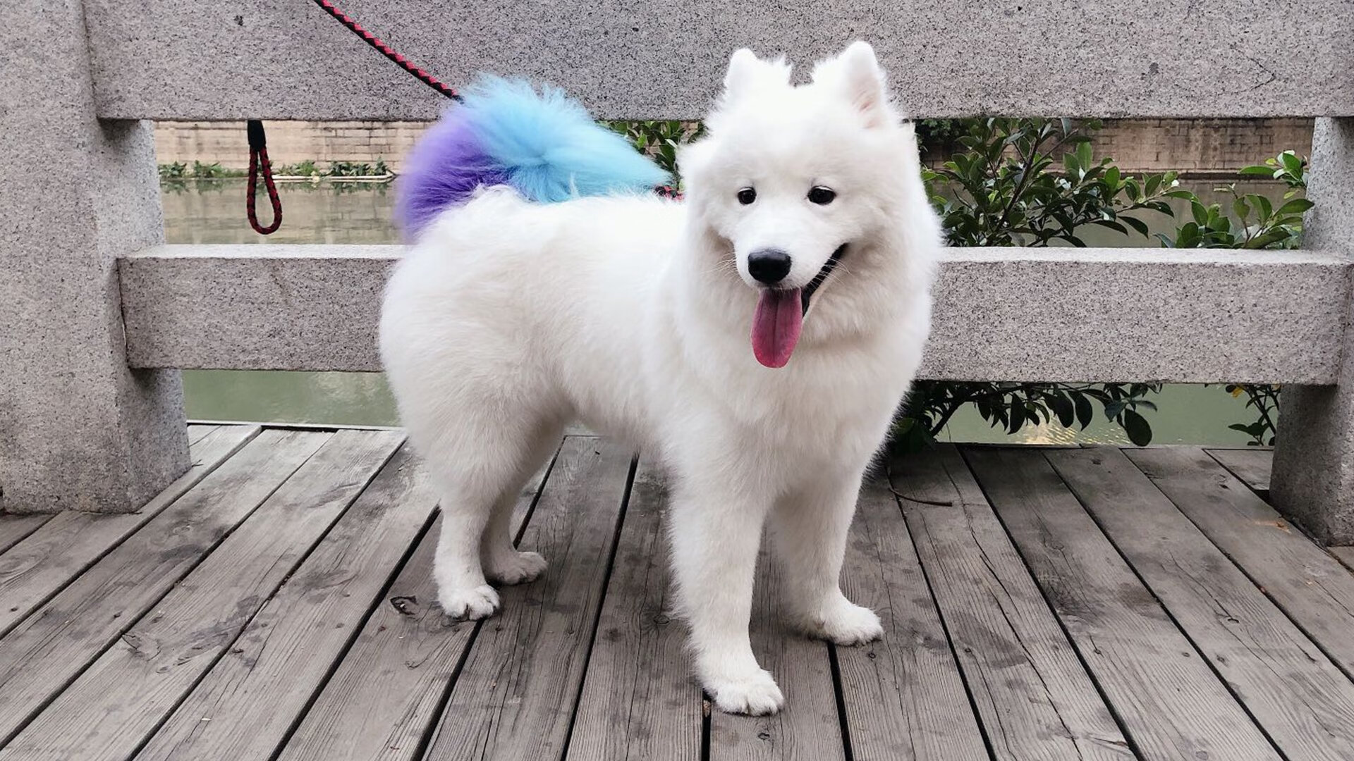 手术刀与灵魂拼图，王皓的神鬼对决