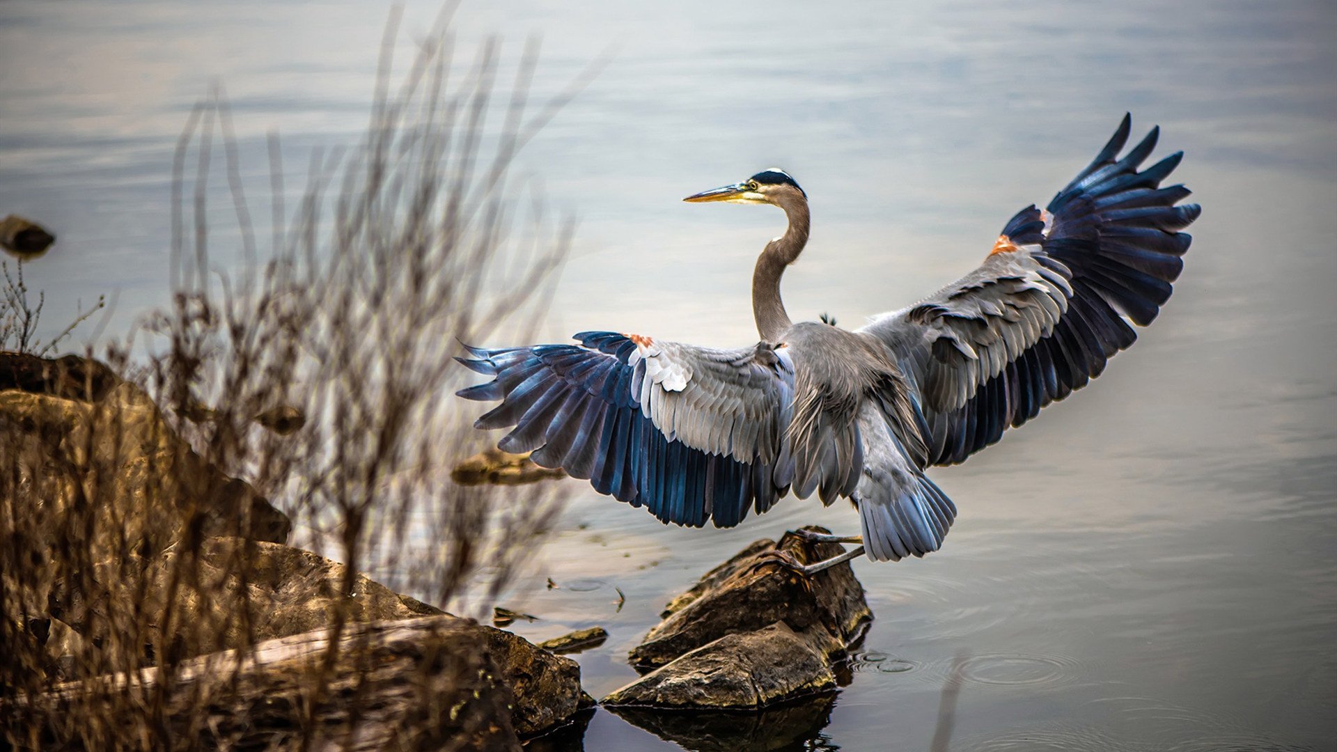 奇迹之夜！佩德里魔术激活沉睡雄狮，勒沃库森绝境翻盘书写北欧逆袭诗篇