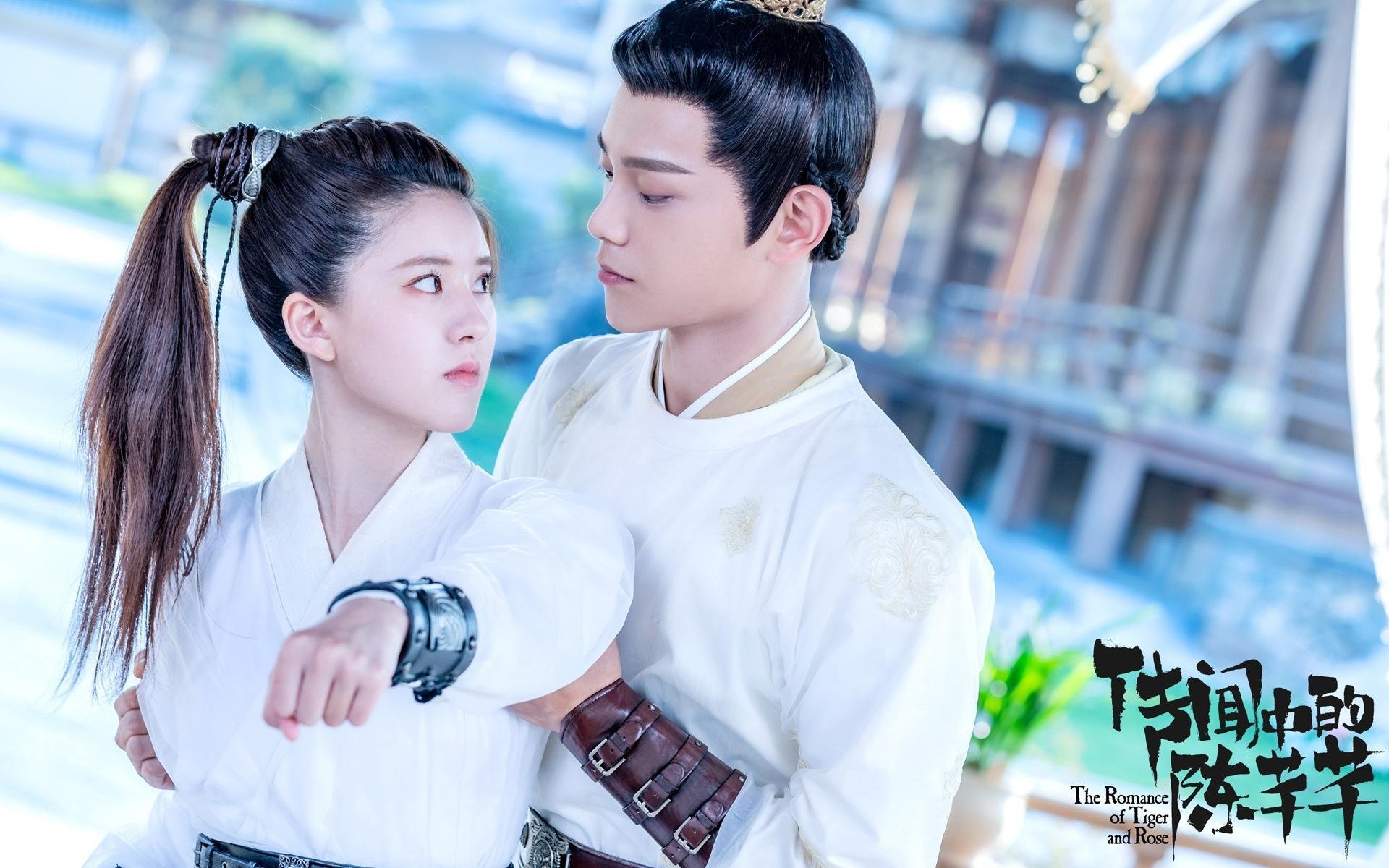 篮球场上的错位时空,东契奇孤星闪耀,森林狼狼群撕碎国王