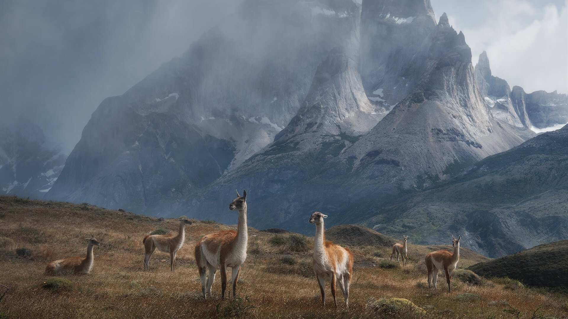 幻境对决,奥亚尔萨瓦尔在乌克兰对阵墨西哥的跨界之战中连续得分改写关键节点