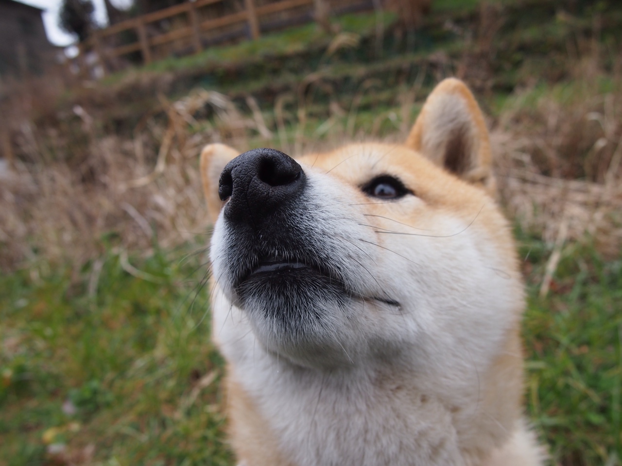 单节狂潮定基调，字母利刃斩迷局