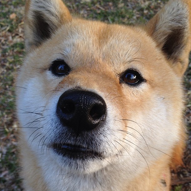 唯一性的定义,当皮克末节接管比赛,雷恩用疾风冲垮贝蒂斯
