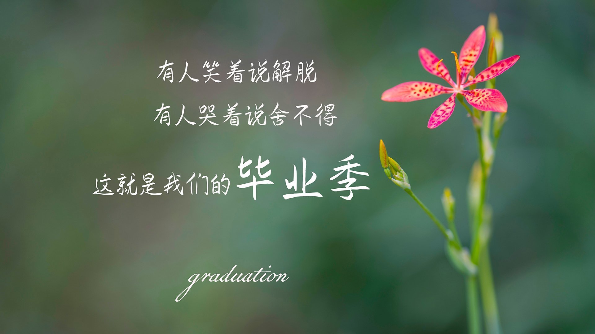 当黄金之心遇见蔚蓝海岸,德布劳内率领加纳国奥关键战击沉马赛