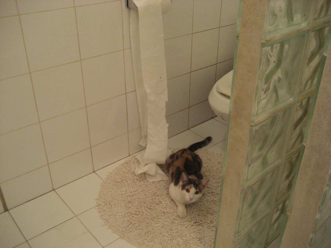 掌控比赛的艺术,罗德里戈引领几内亚决胜局击败加纳