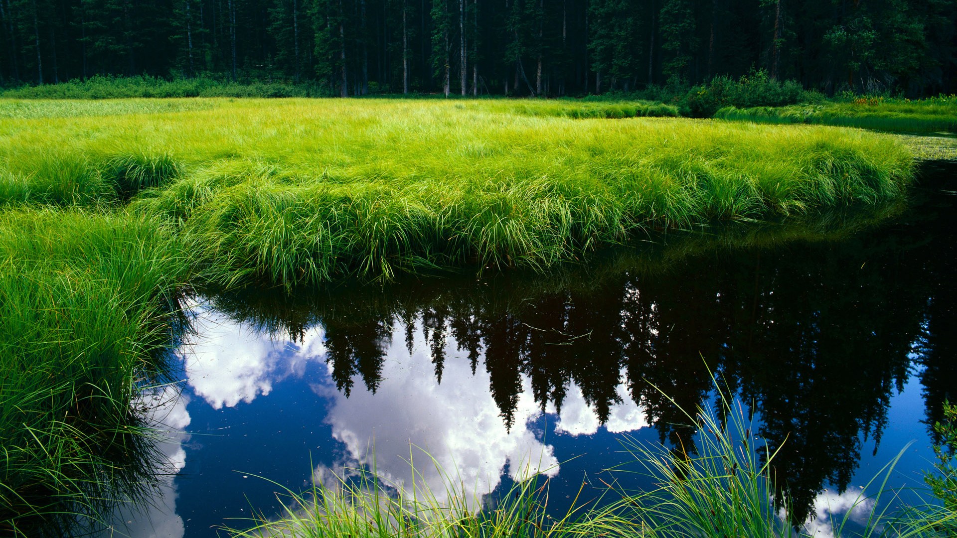 爱游戏在线-从孟菲斯到深圳，戴斯蒙德·贝恩的唯一主角之夜