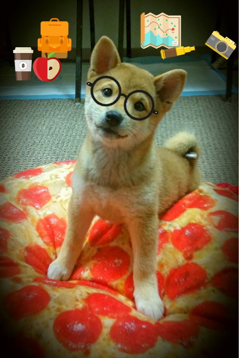 足球之夜的双生火焰，北欧铁壁与桑巴魔法的交响