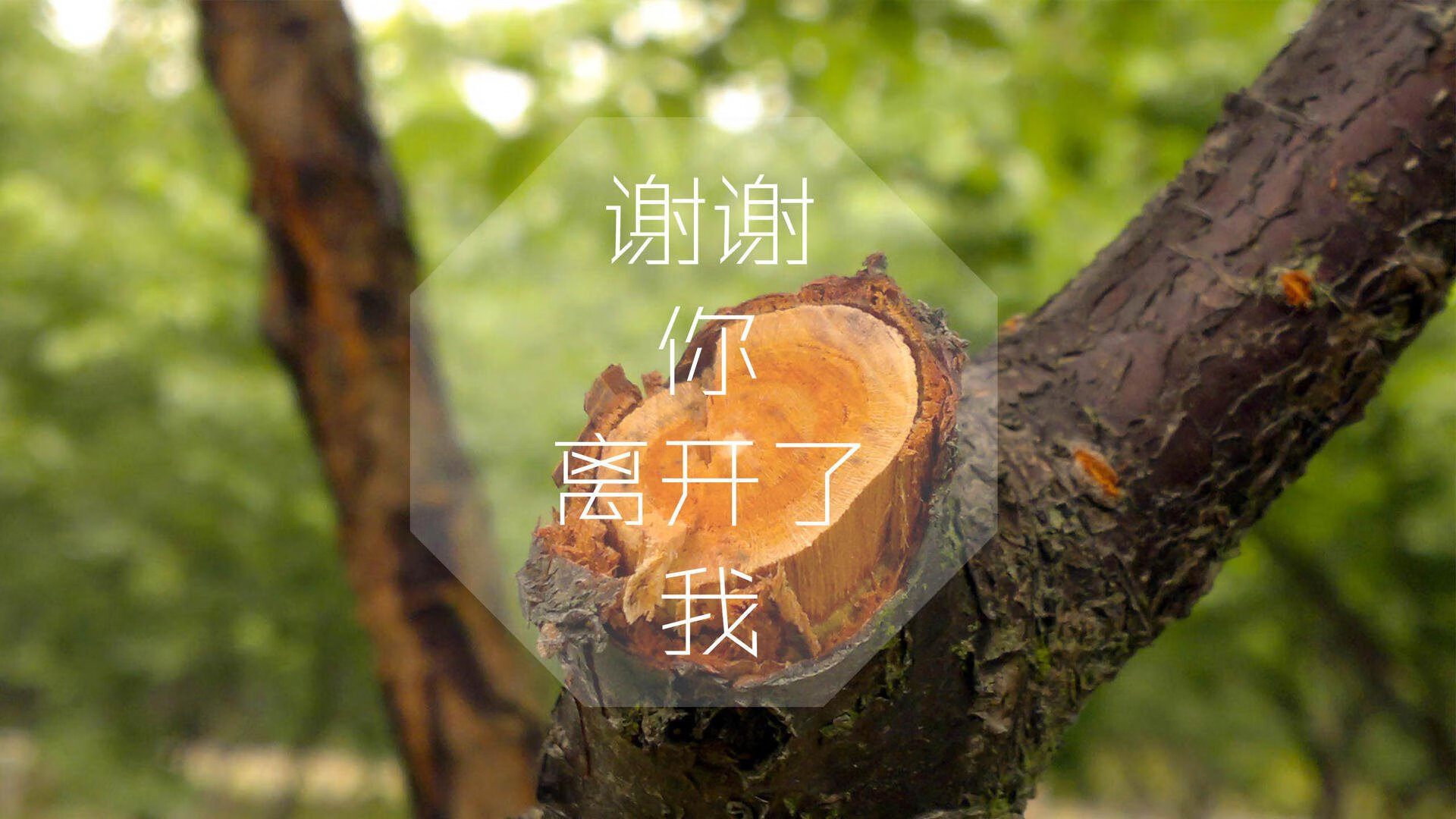 北境神话再临，2026世界杯F组冰岛绝杀德国，格列兹曼带队复仇演绎生死时速